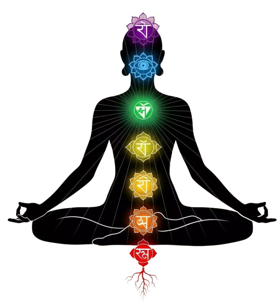 Les rituels du quotidien